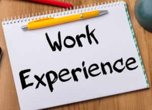 work_experience